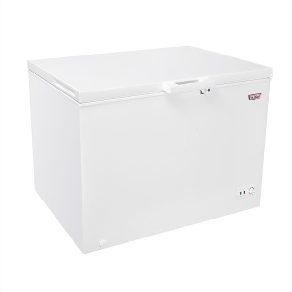 Congelador dual 295 Litros - Maigas